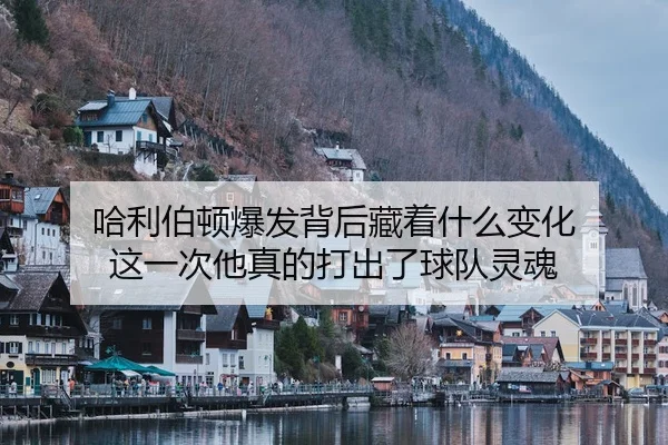 ha-li-bo-dun-bao-fa-bei-hou-cang-zhe-shen-me-bian-hua-zhe-yi-ci-ta-zhen-de-da-chu-le-qiu-dui-ling-hun-2-823.jpg